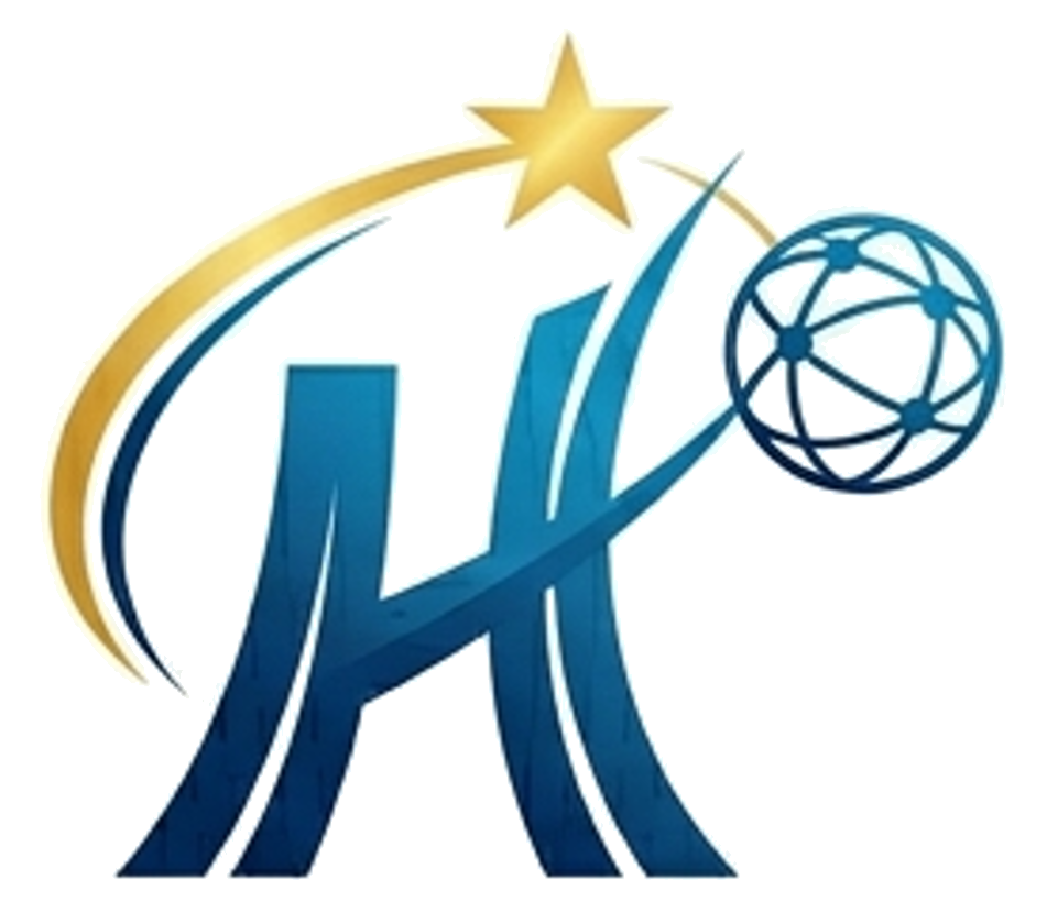 TIC Holdings logo